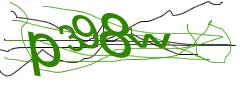 image_type1